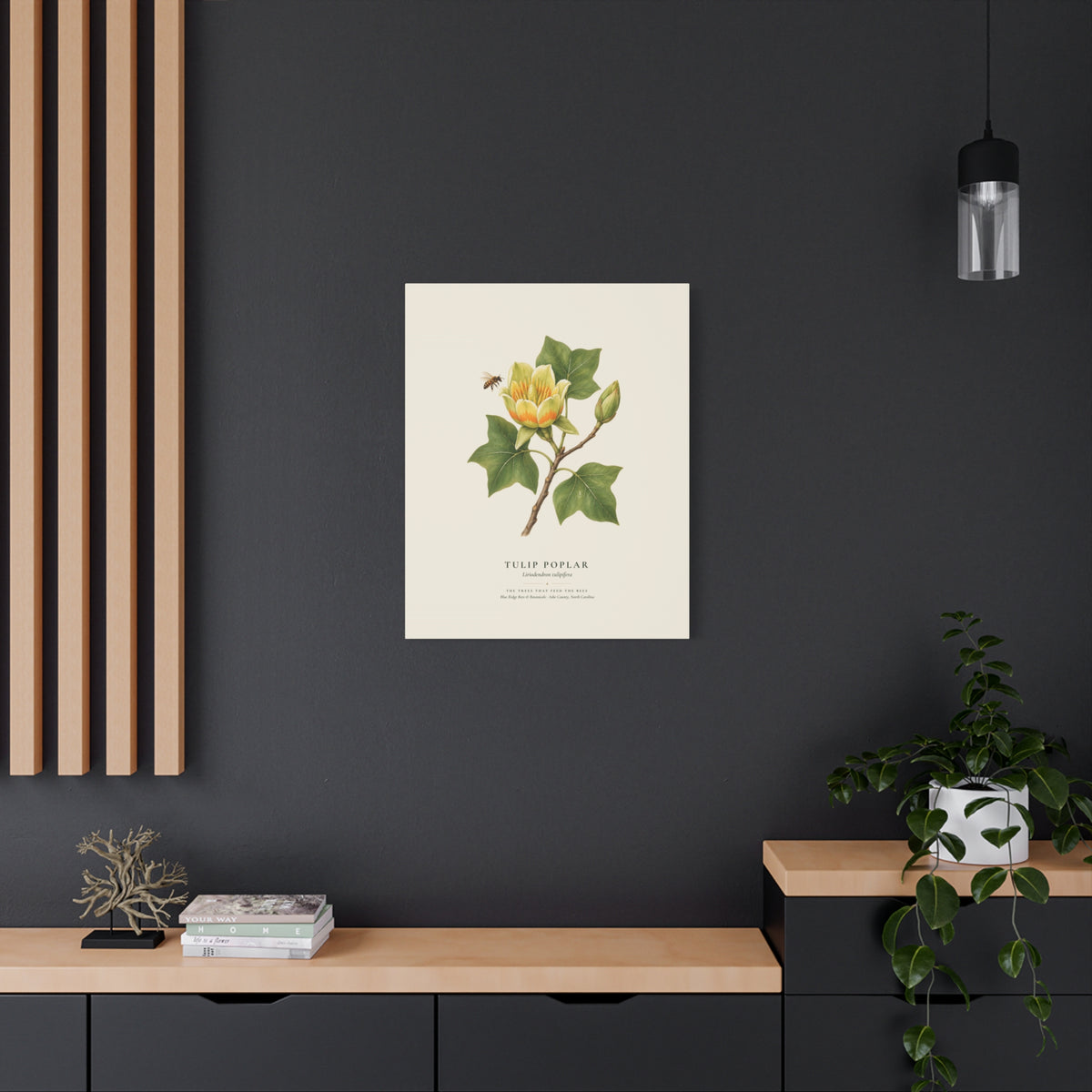 Tulip Poplar Canvas Print