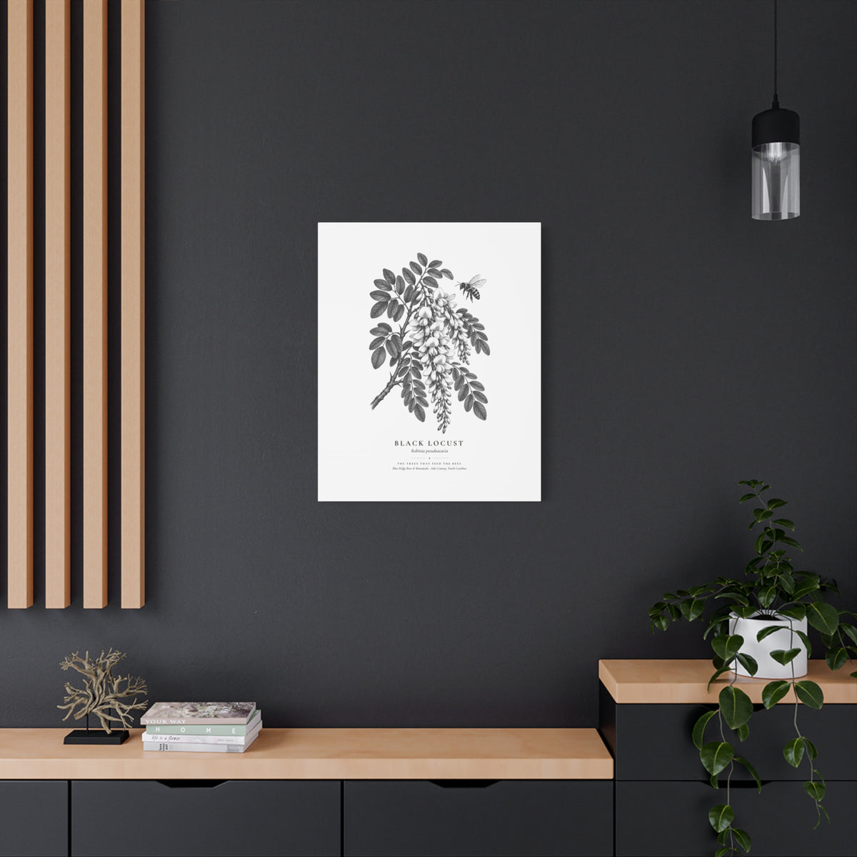 Black Locust Canvas Print (Black & White)