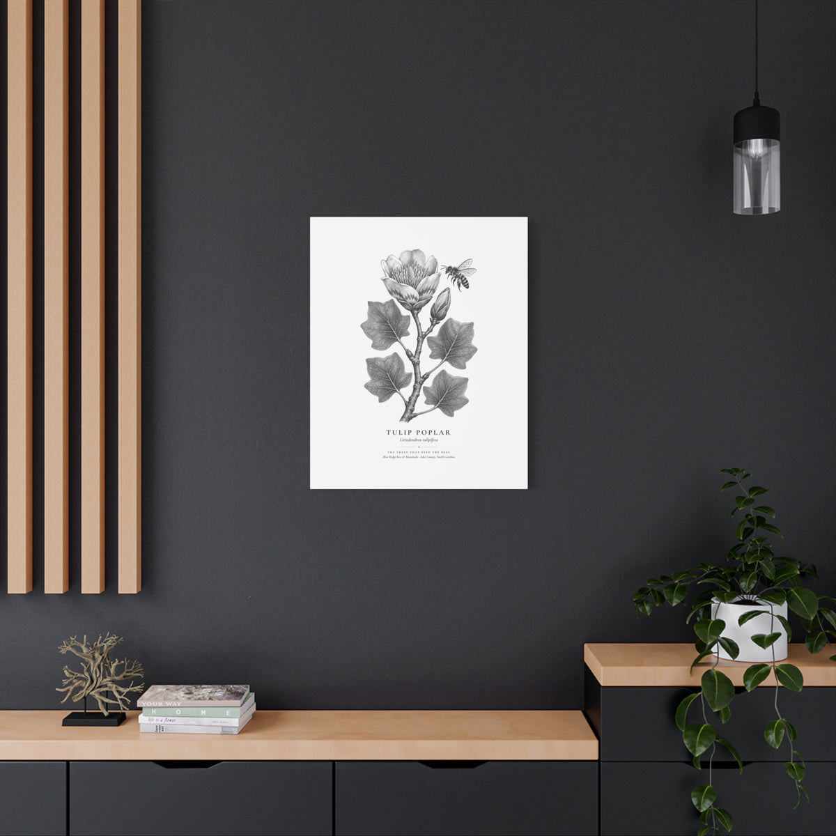 Tulip Poplar Canvas Print (Black & White)