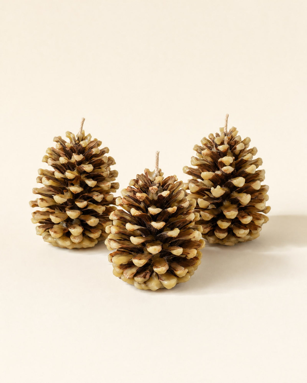 Beeswax Firestarters, 3 Pack
