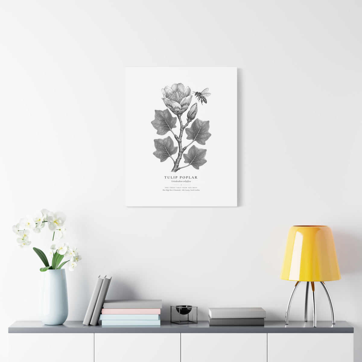 Tulip Poplar Canvas Print (Black & White)