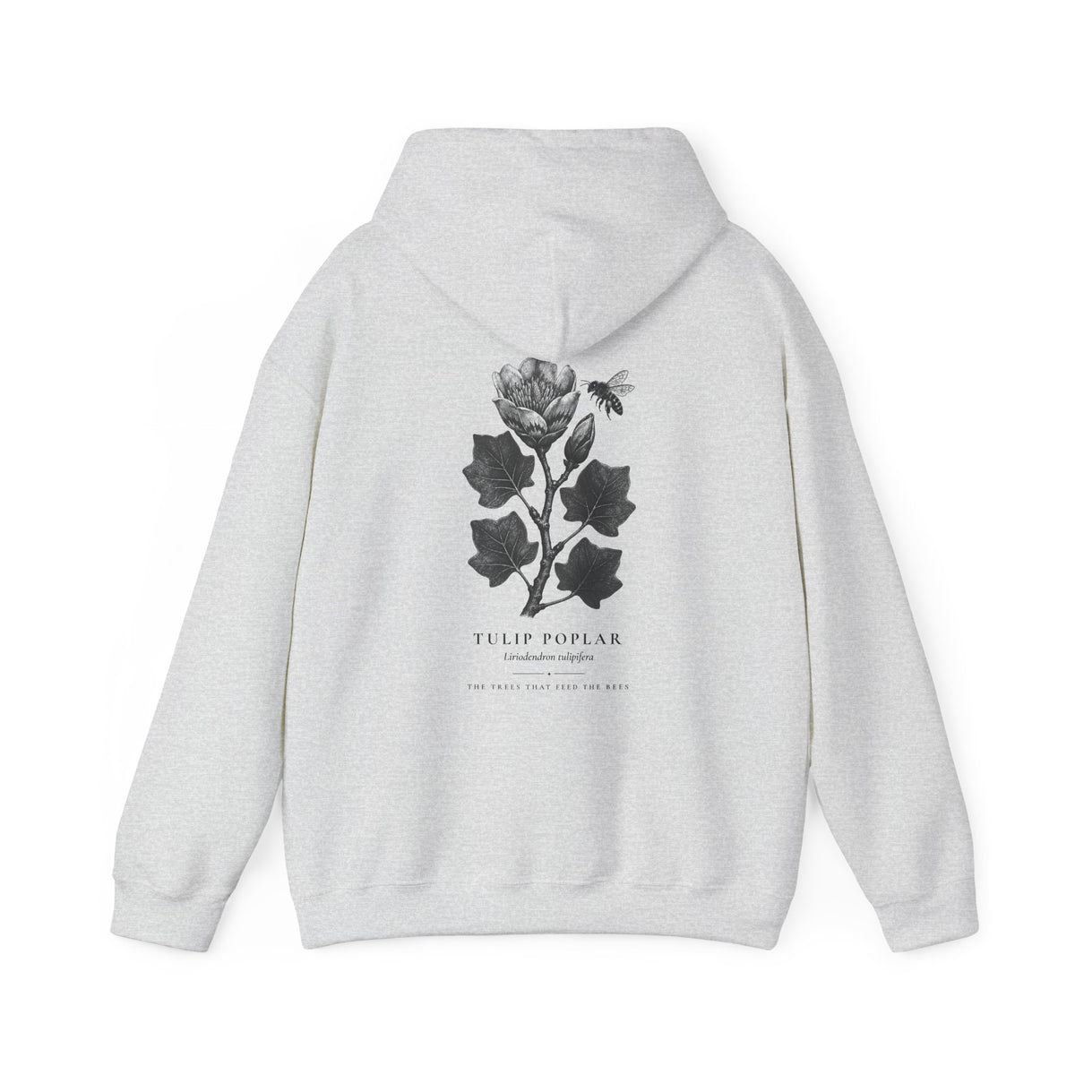 Tulip Poplar Hoodie