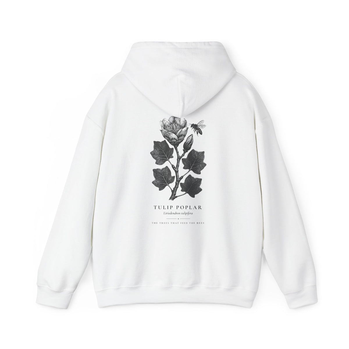 Tulip Poplar Hoodie