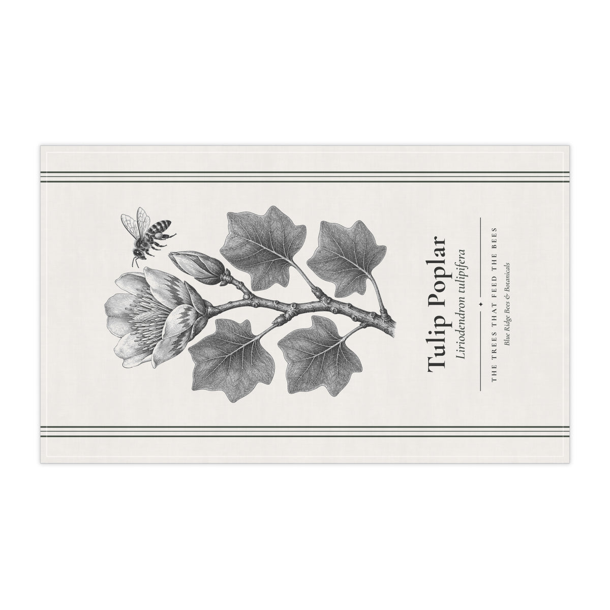 Tulip Poplar Tea Towel