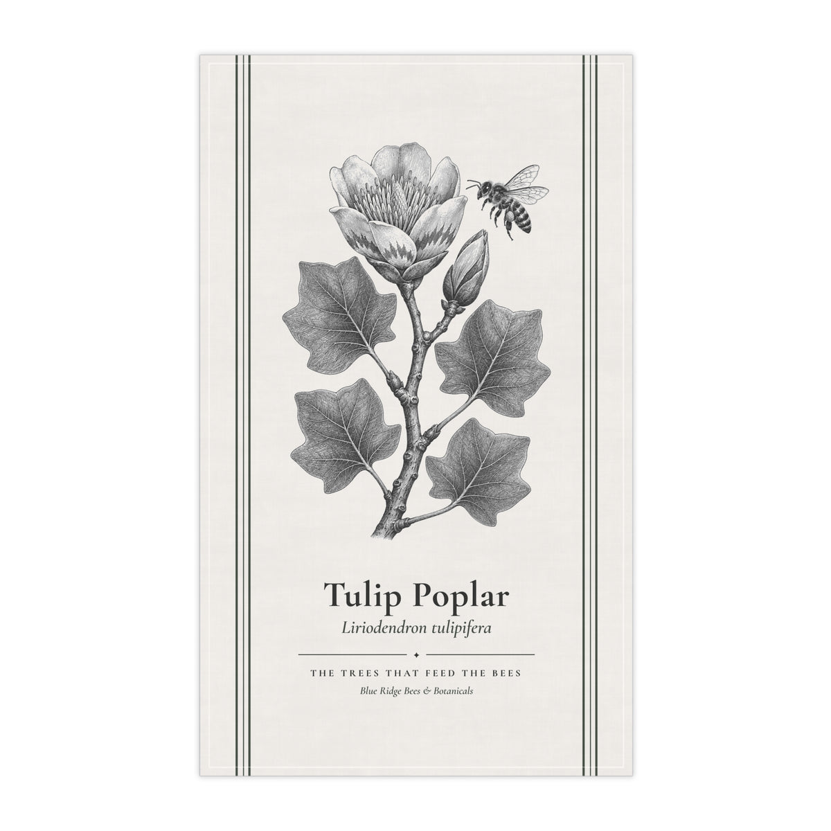 Tulip Poplar Tea Towel