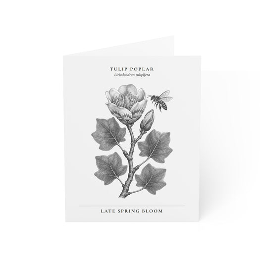 Tulip Poplar Note Card (Black & White)