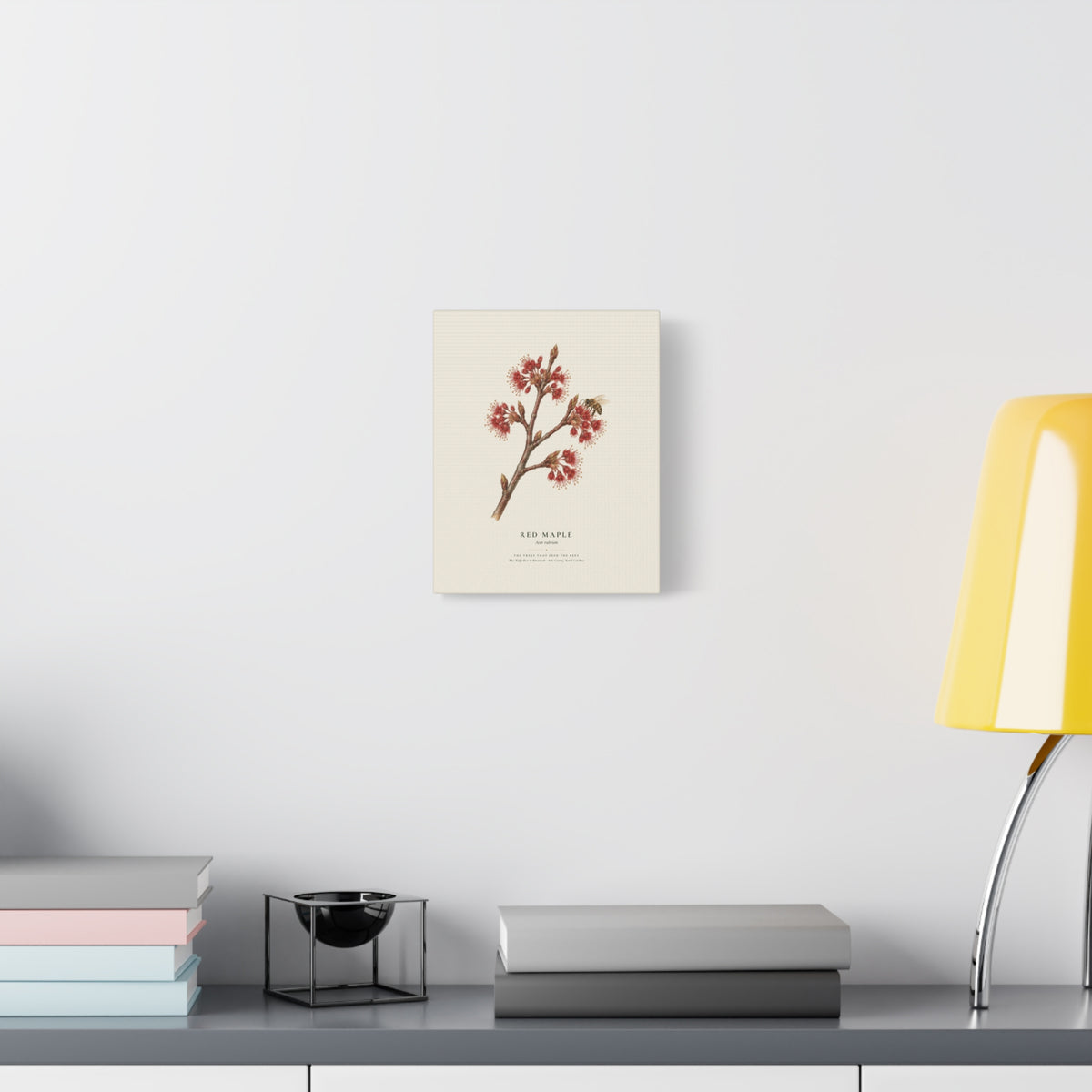 Red Maple Canvas Print