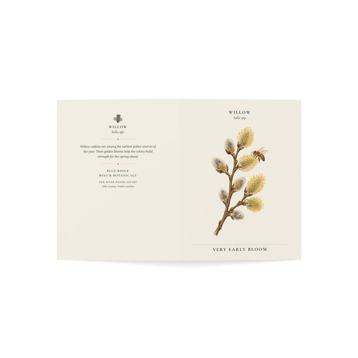Willow Note Card