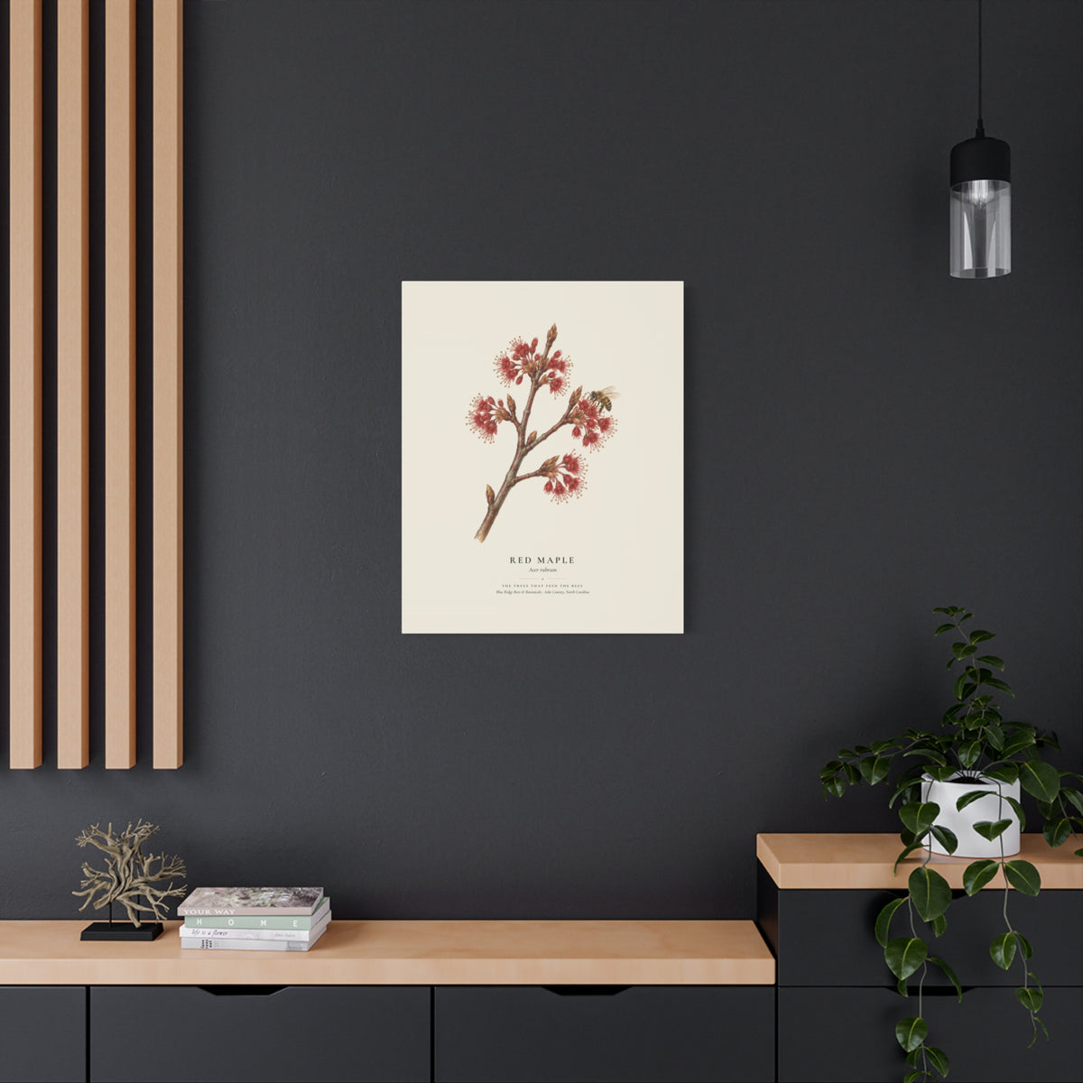 Red Maple Canvas Print