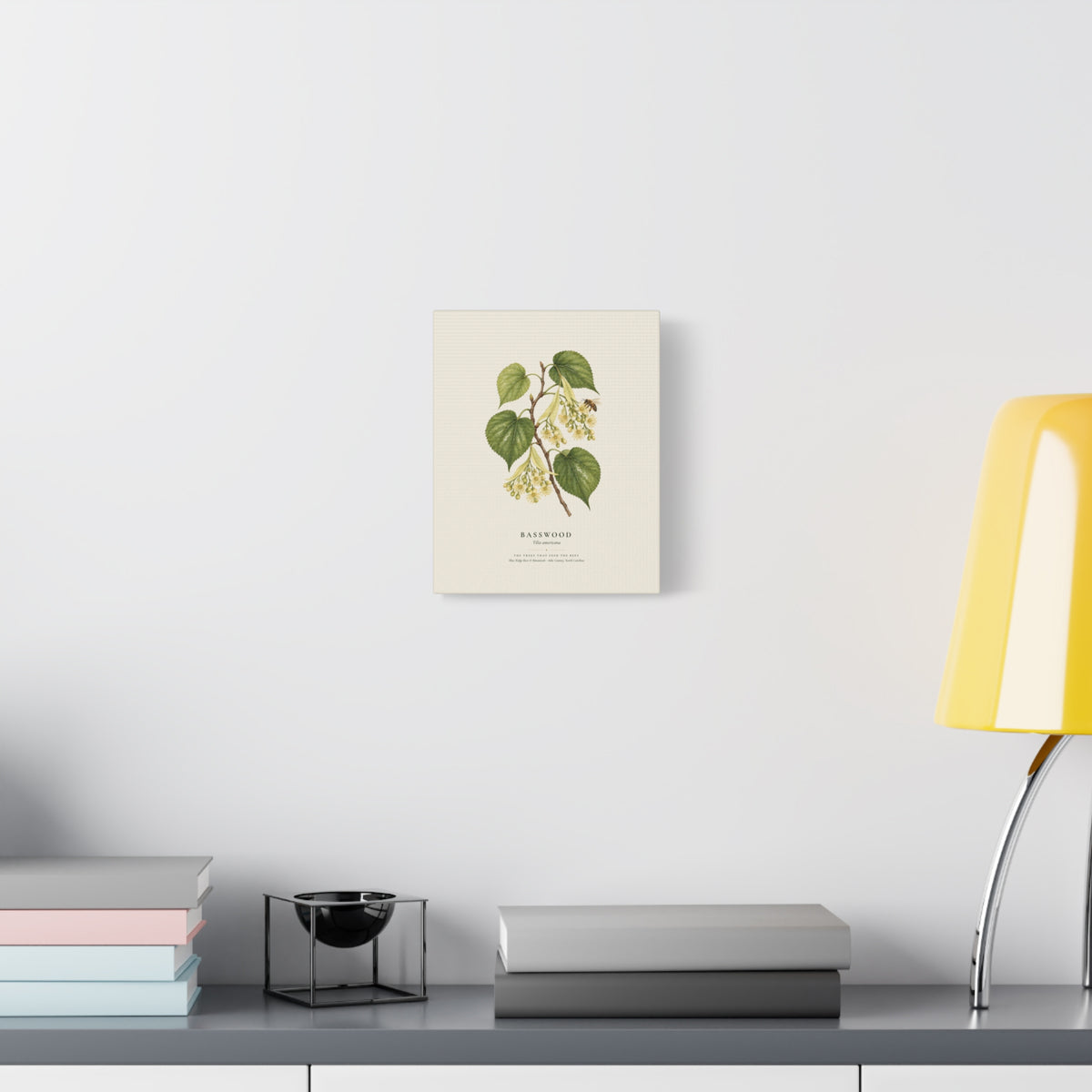 Basswood Canvas Print