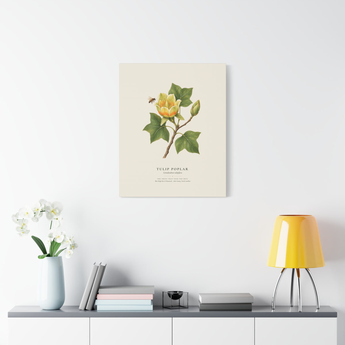 Tulip Poplar Canvas Print