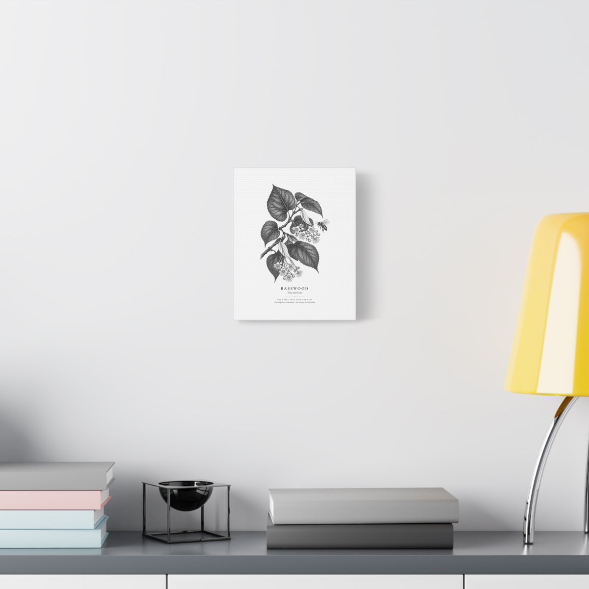 Basswood Canvas Print (Black & White)