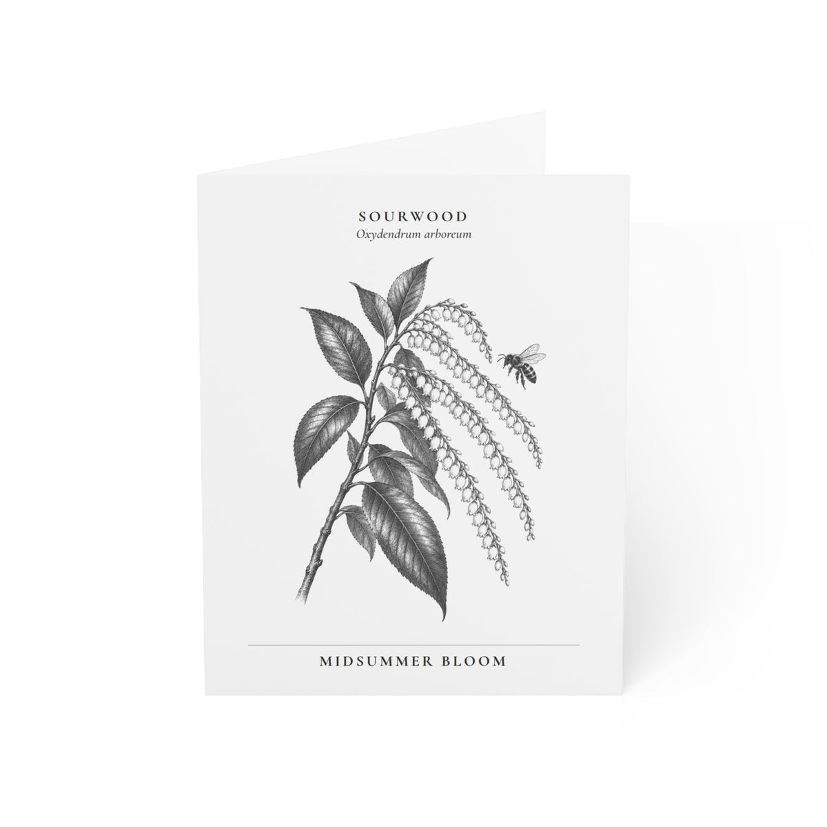 Sourwood Note Card (Black & White)