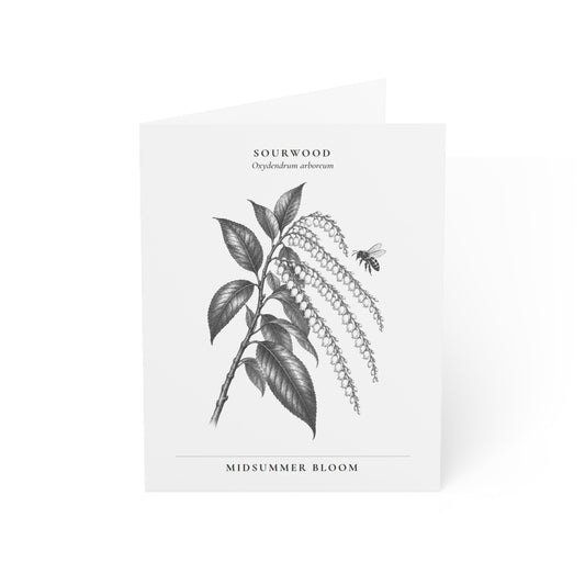 Sourwood Note Card (Black & White)