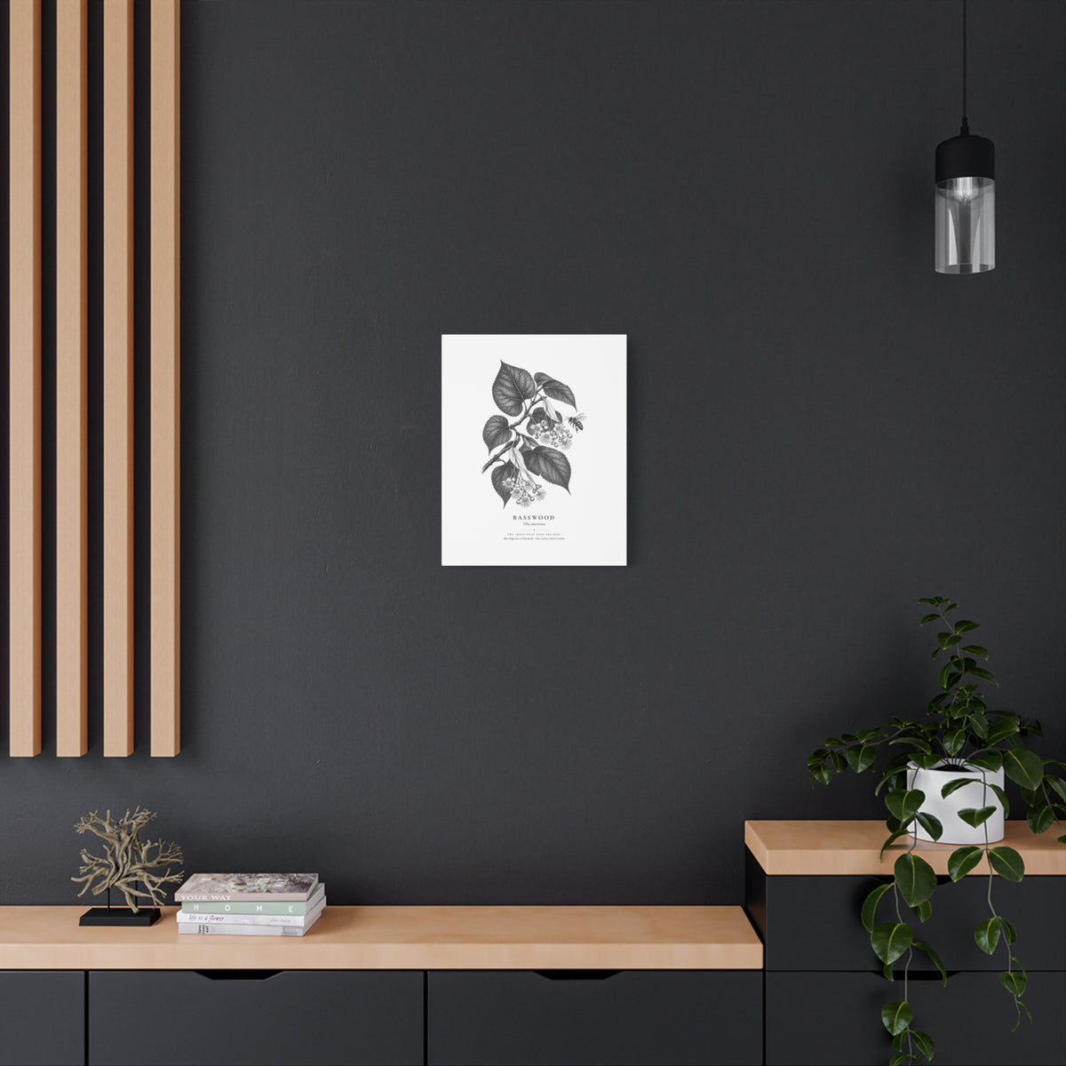 Basswood Canvas Print (Black & White)