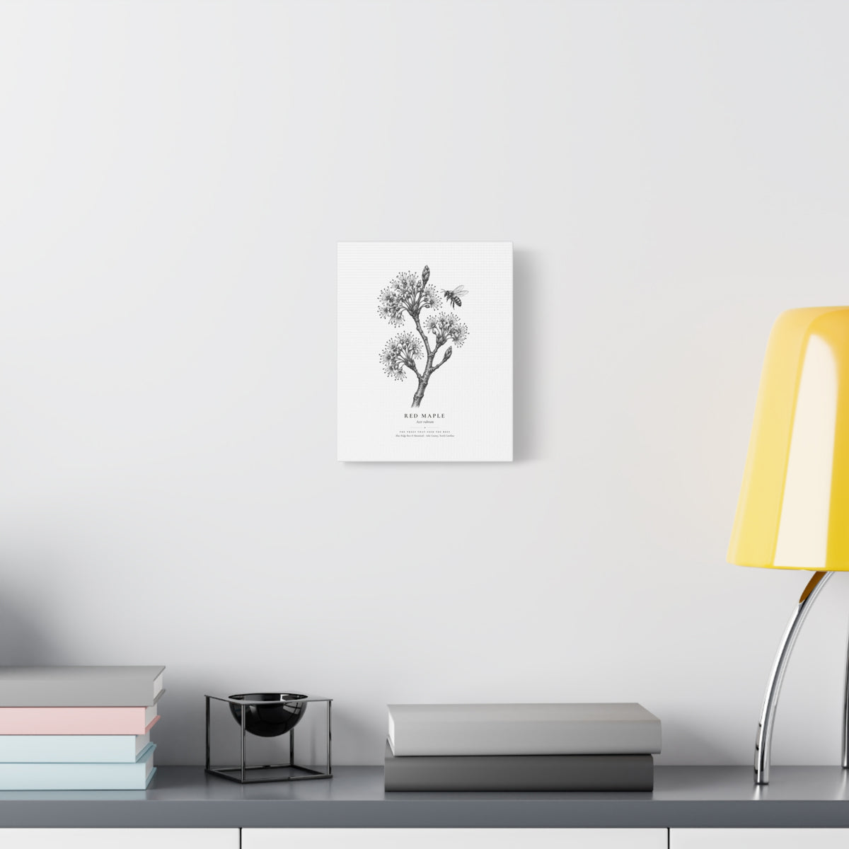 Red Maple Canvas Print (Black & White)