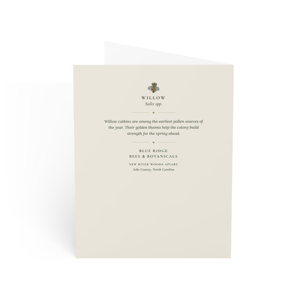 Willow Note Card