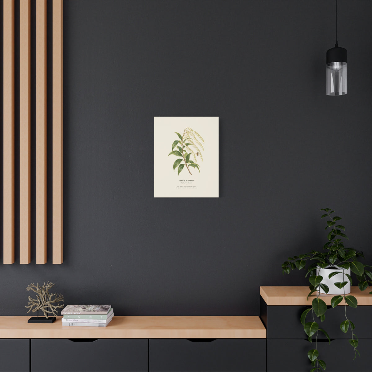 Sourwood Canvas Print
