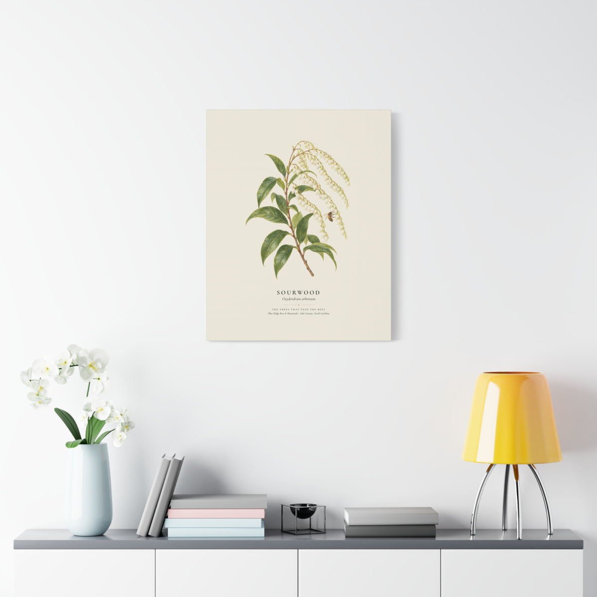 Sourwood Canvas Print