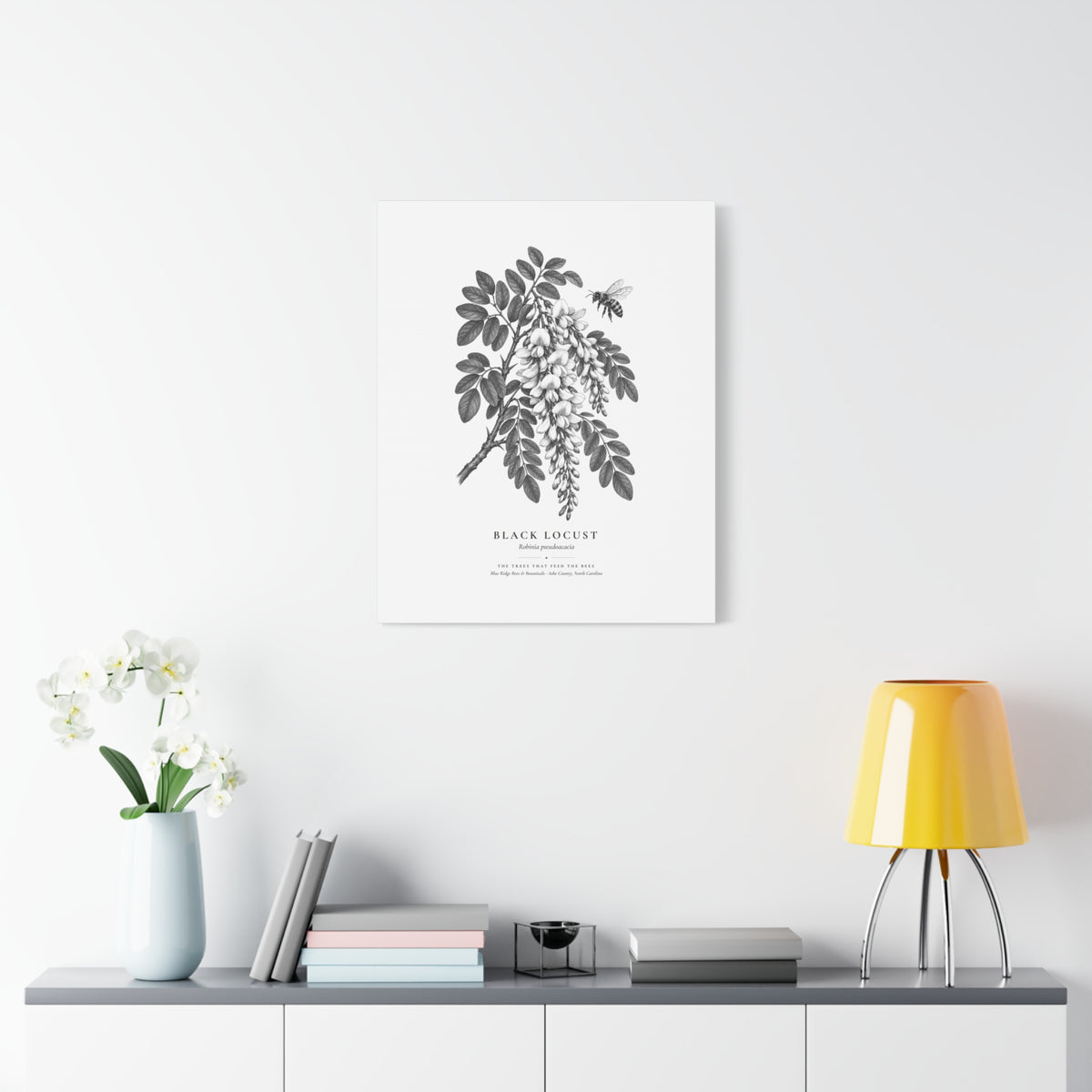 Black Locust Canvas Print (Black & White)