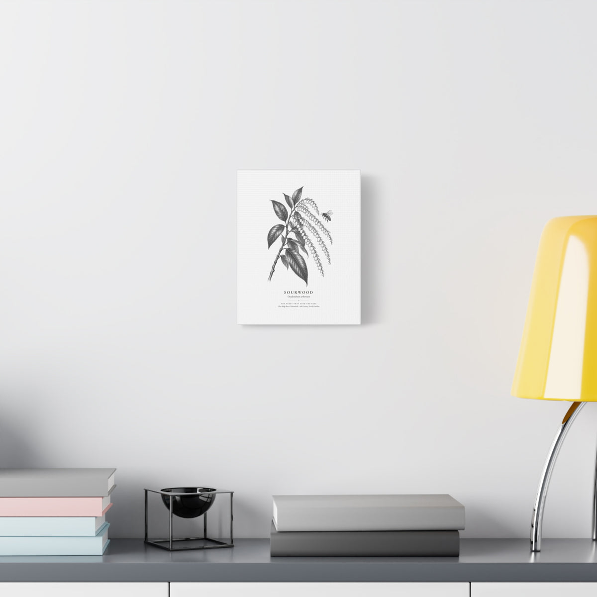 Sourwood Canvas Print (Black & White)