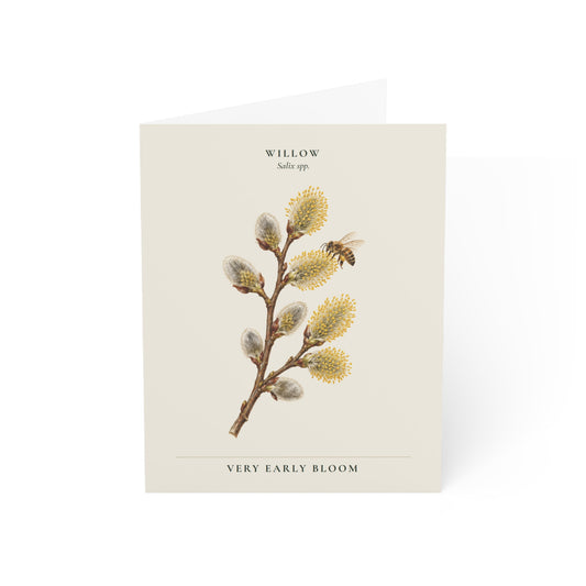 Willow Note Card