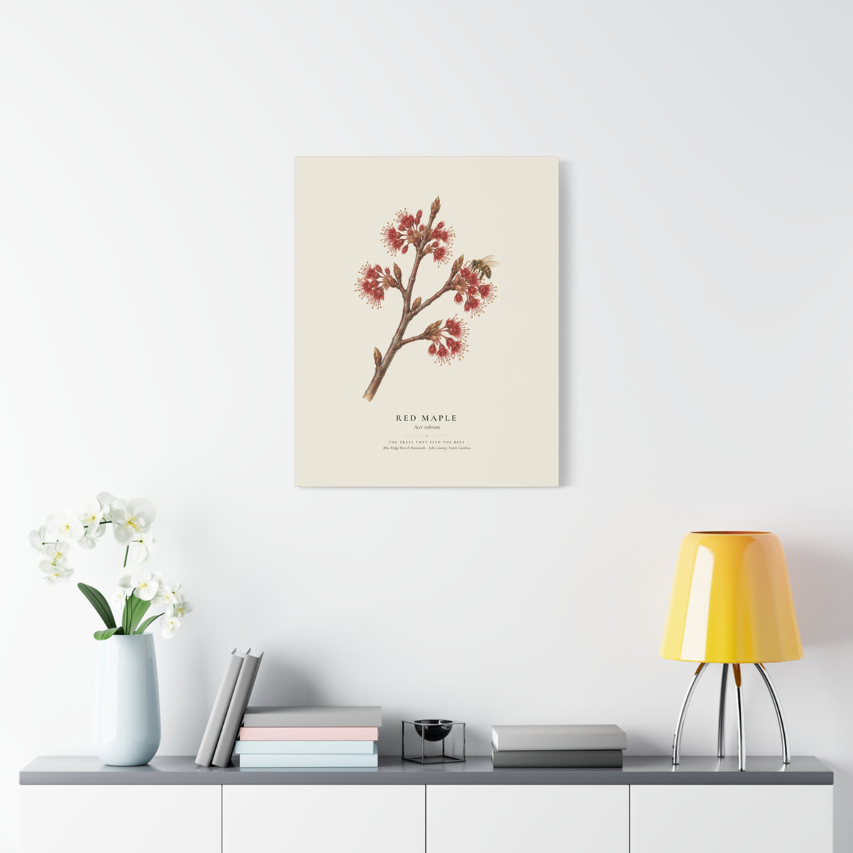 Red Maple Canvas Print