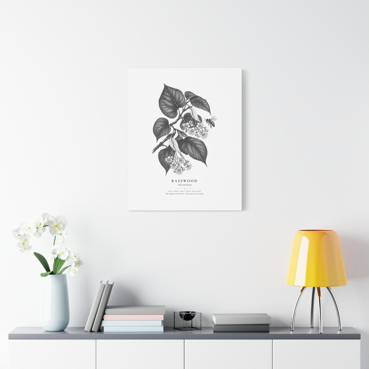 Basswood Canvas Print (Black & White)