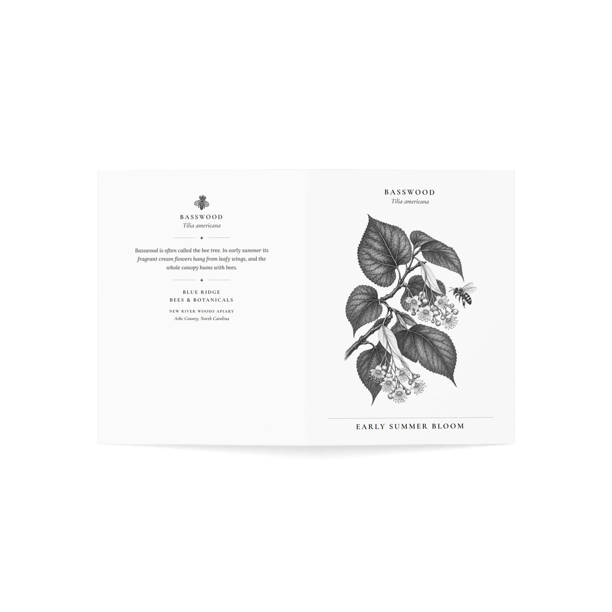 Basswood Note Card (Black & White)