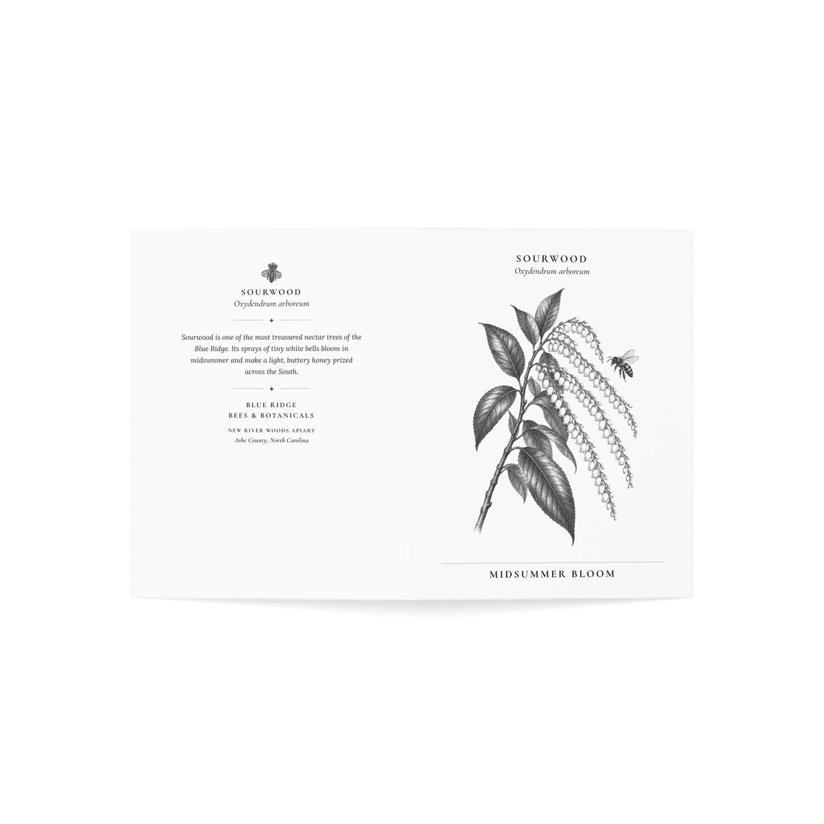 Sourwood Note Card (Black & White)