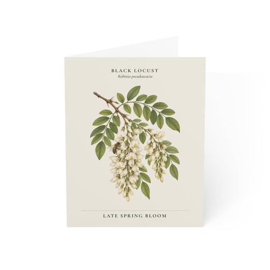 Black Locust Note Card