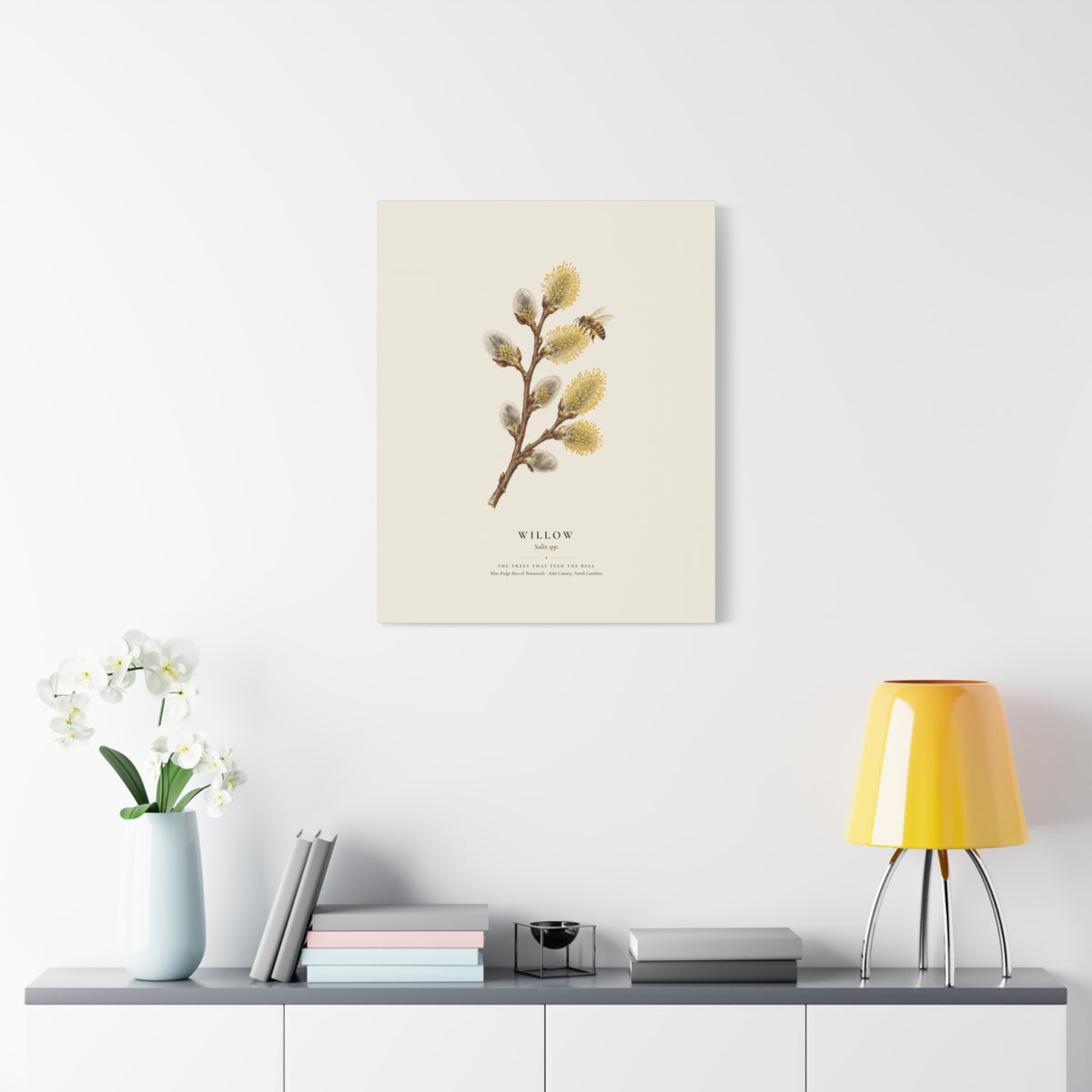 Willow Canvas Print