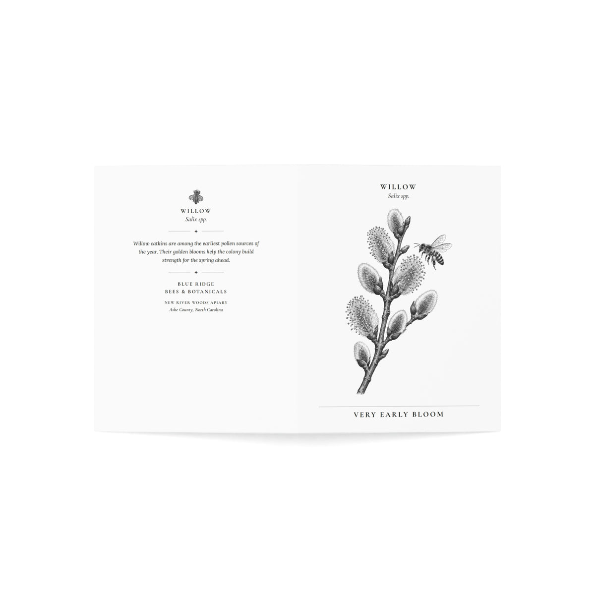Willow Note Card (Black & White)