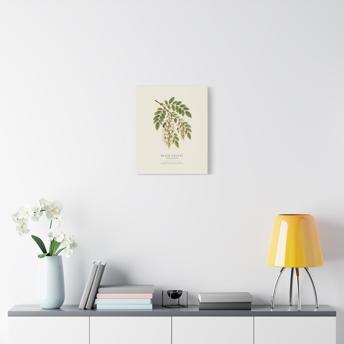 Black Locust Canvas Print