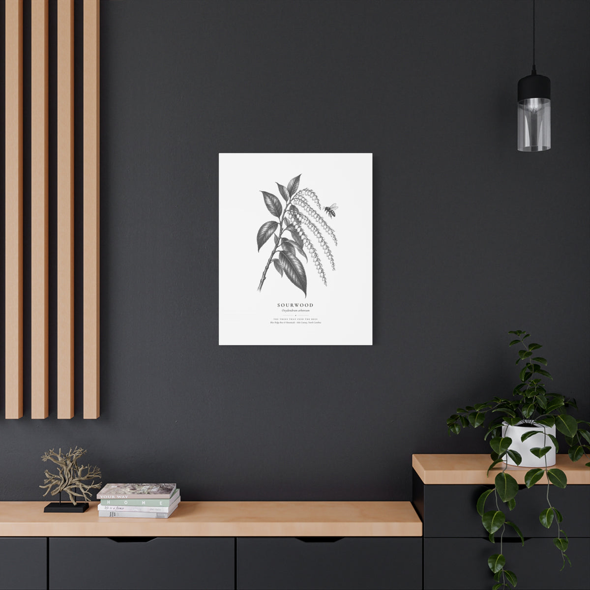 Sourwood Canvas Print (Black & White)