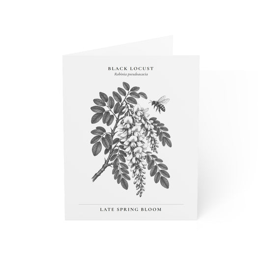 Black Locust Note Card (Black & White)