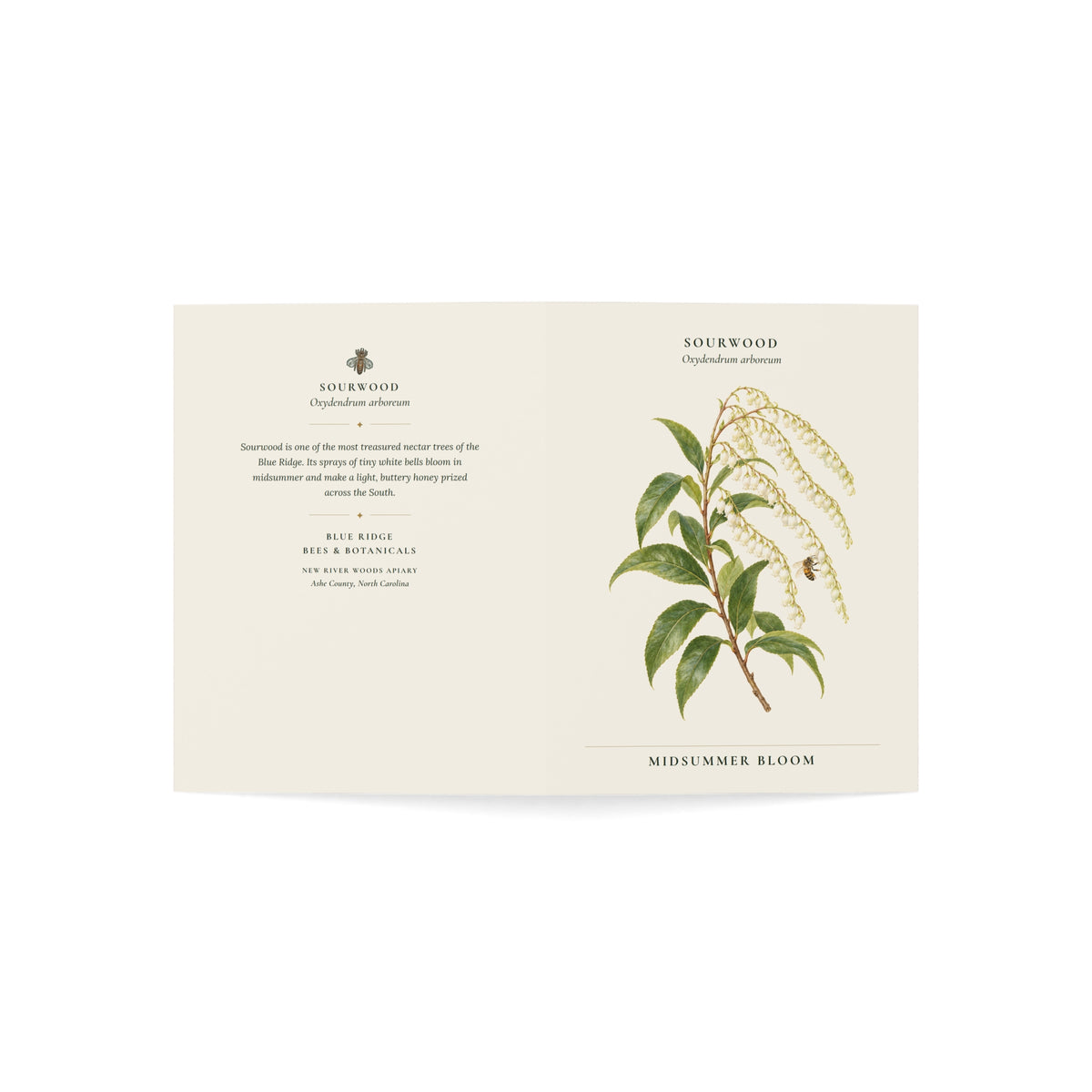 Sourwood Note Card