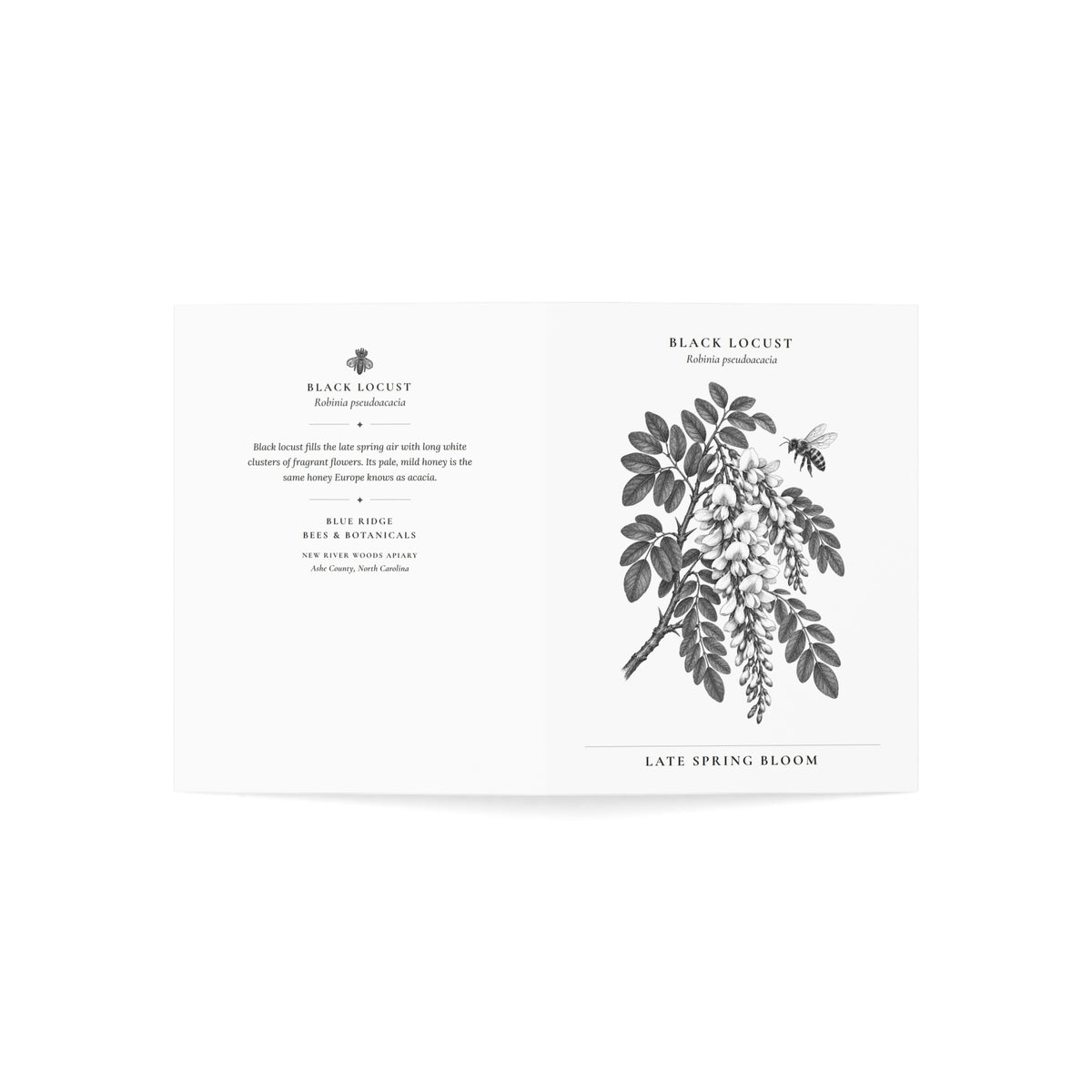 Black Locust Note Card (Black & White)