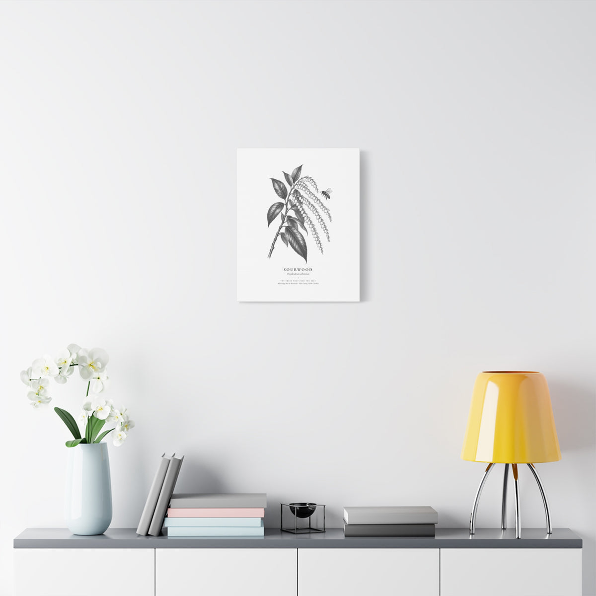 Sourwood Canvas Print (Black & White)