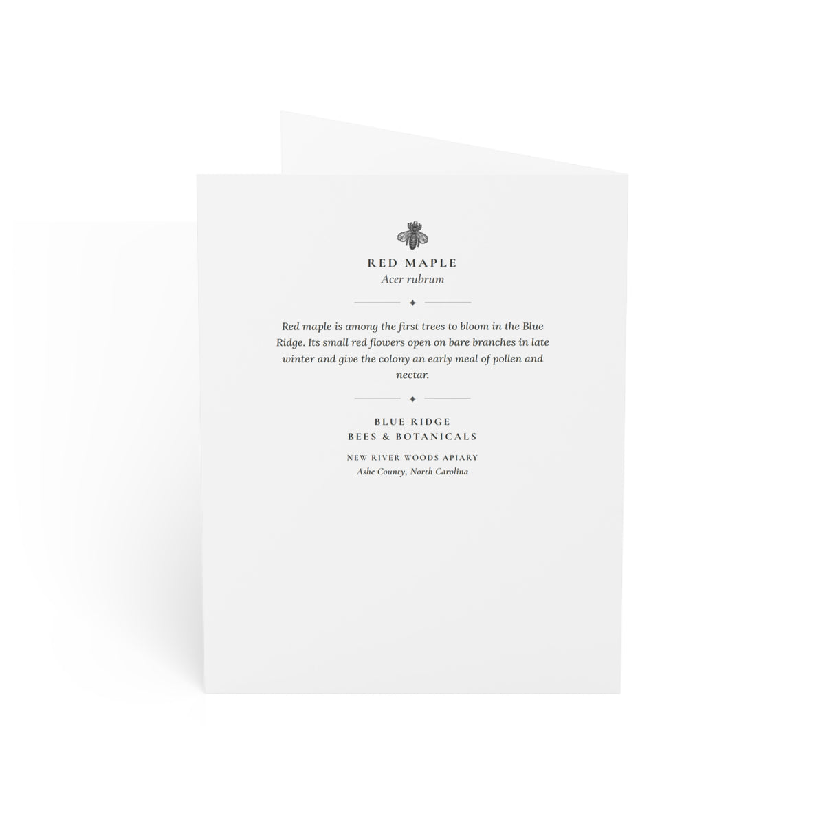 Red Maple Note Card (Black & White)