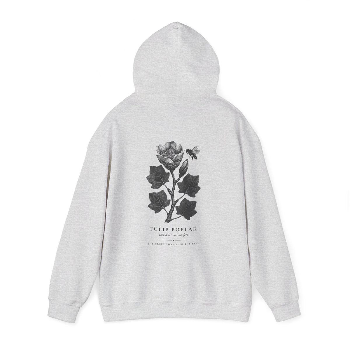 Tulip Poplar Hoodie