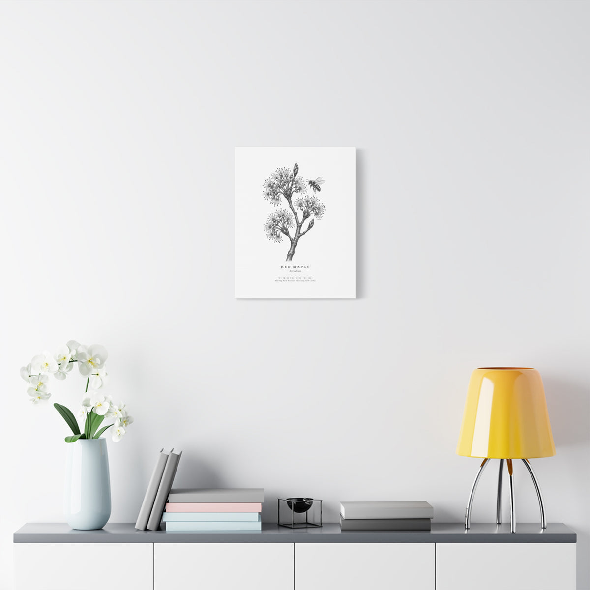 Red Maple Canvas Print (Black & White)