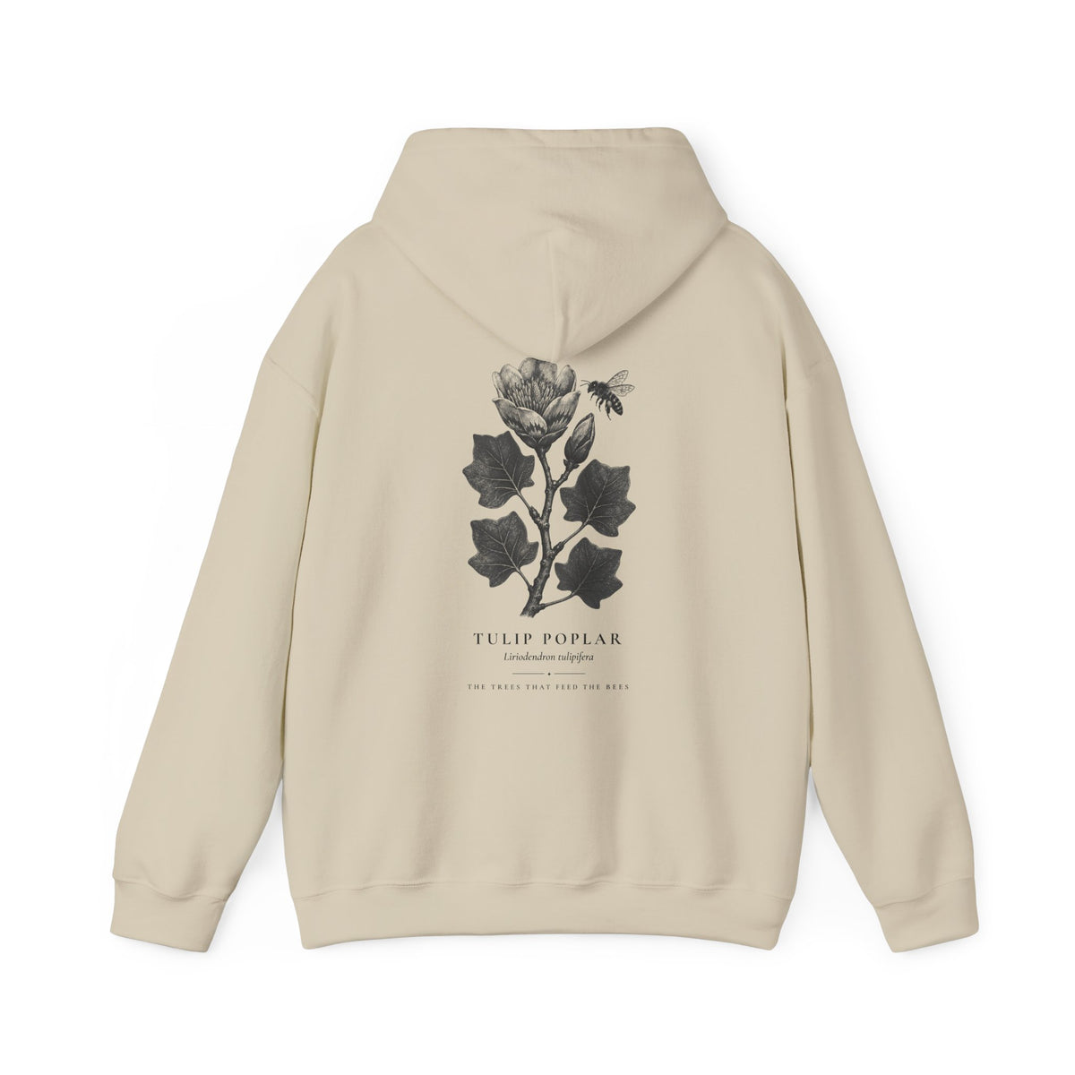 Tulip Poplar Hoodie