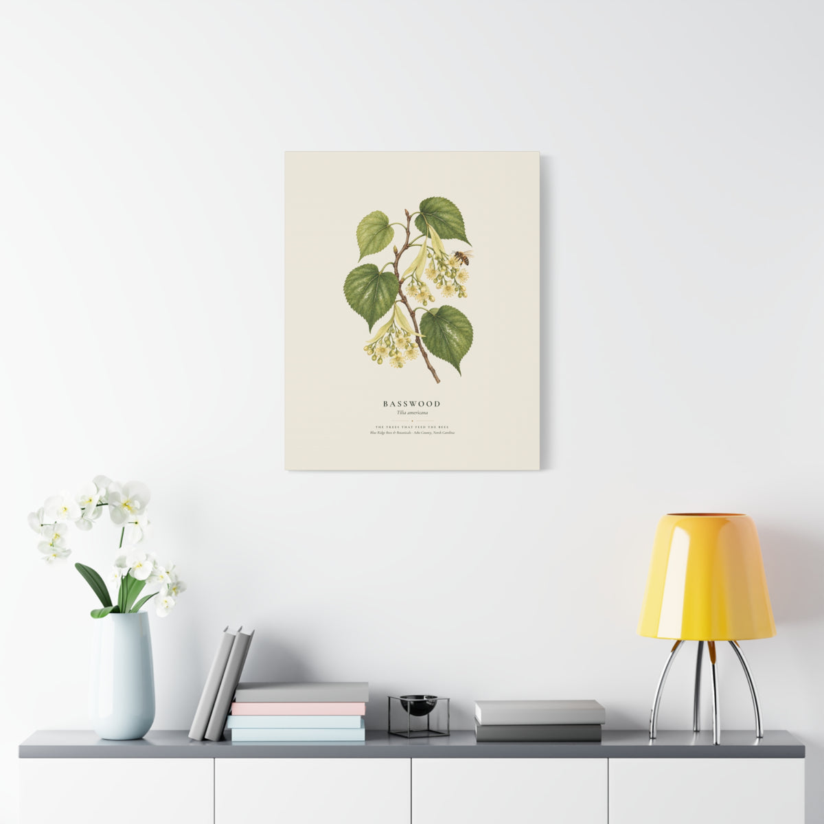 Basswood Canvas Print