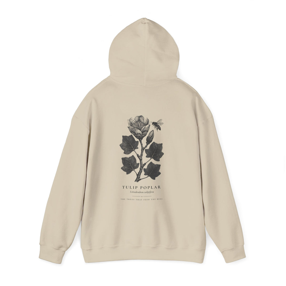 Tulip Poplar Hoodie