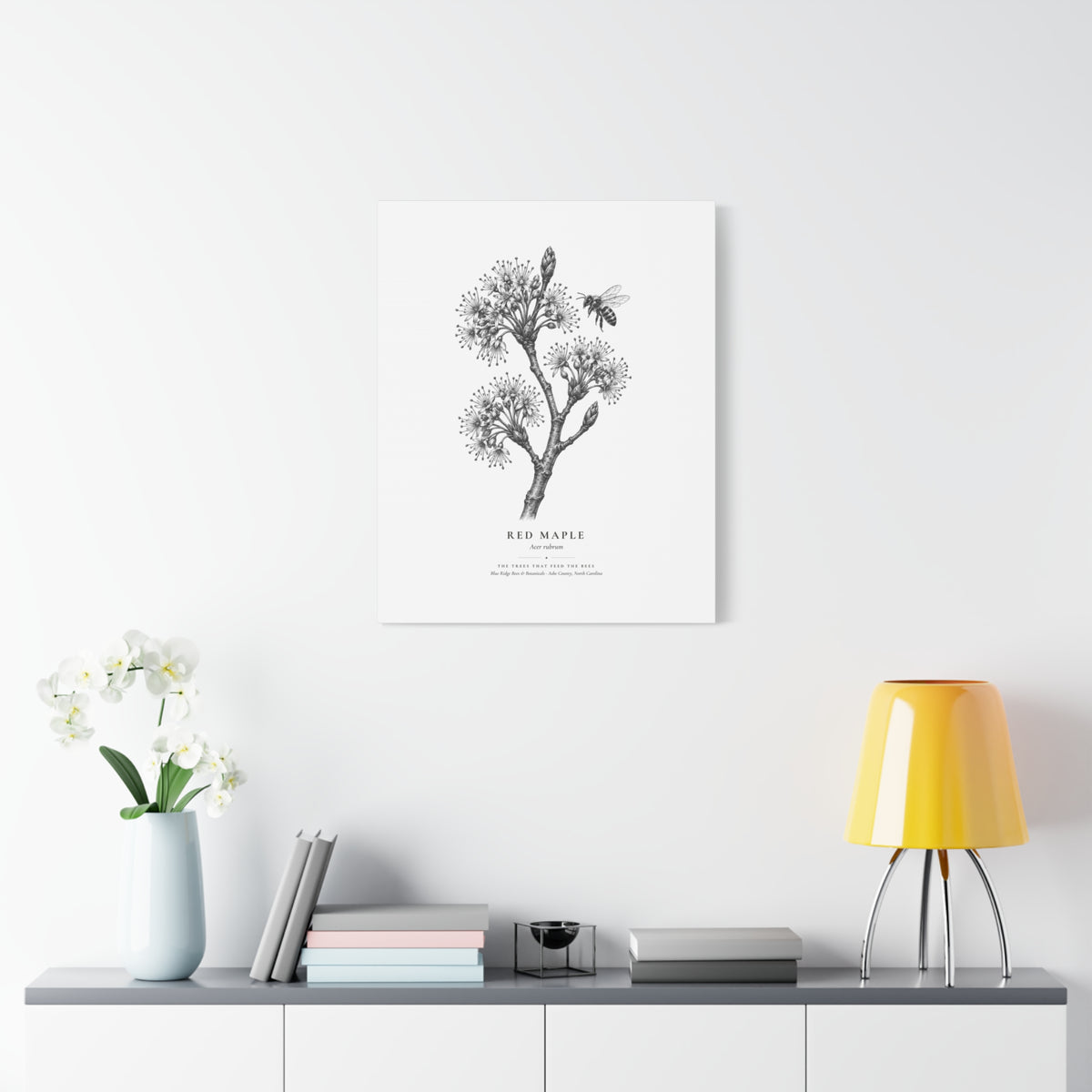 Red Maple Canvas Print (Black & White)