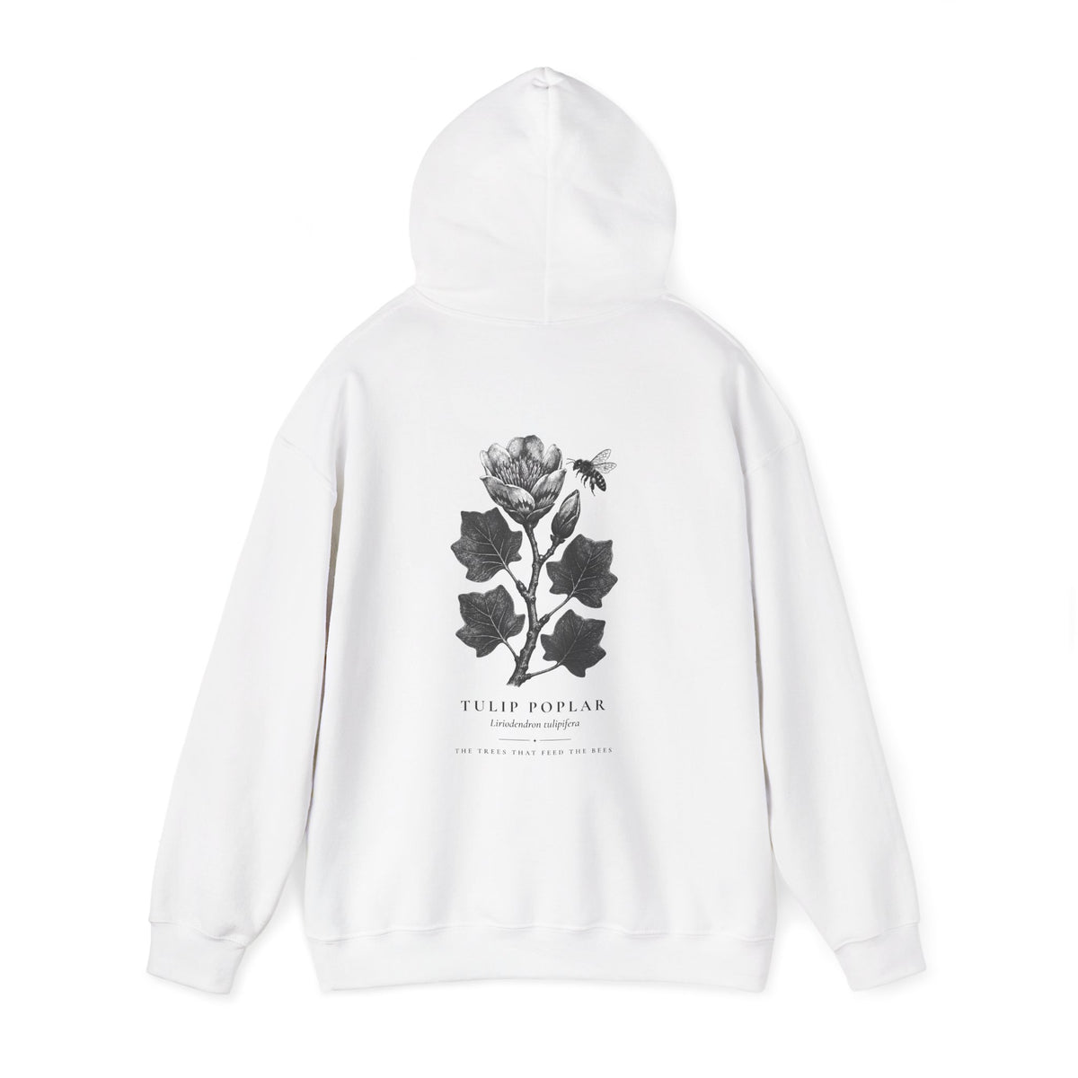 Tulip Poplar Hoodie