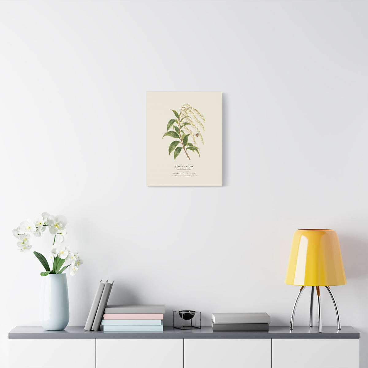 Sourwood Canvas Print