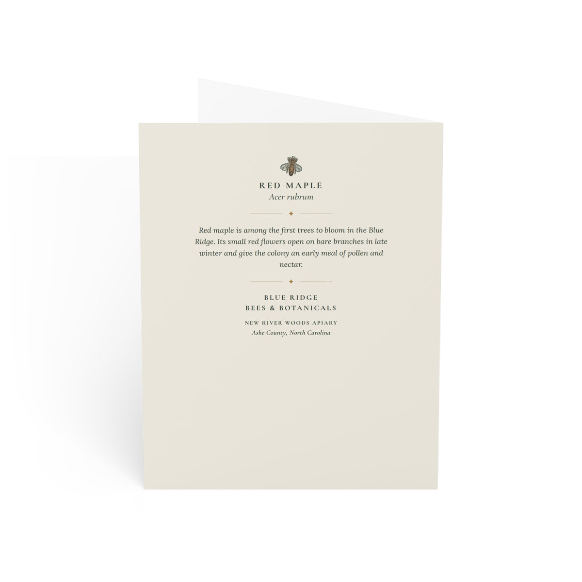 Red Maple Note Card