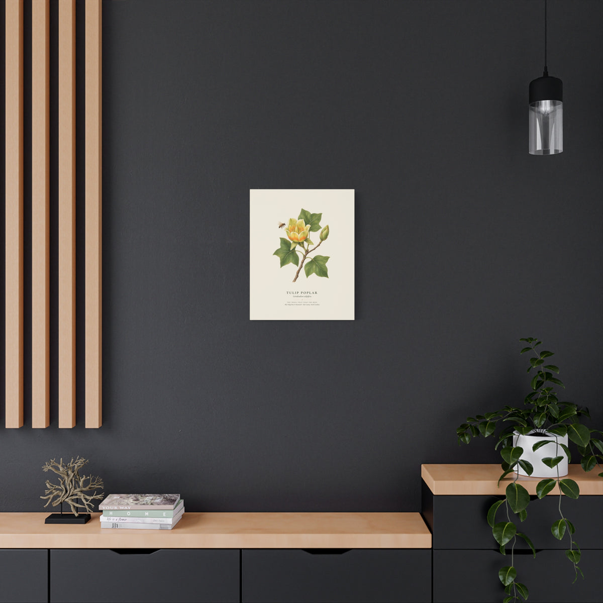 Tulip Poplar Canvas Print